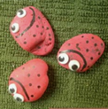 lady bug rocks